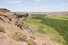 Wilson Creek