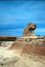 [Prairie Dog]