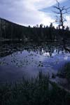 [Nymph Lake]