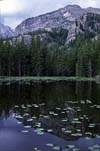[Nymph Lake]