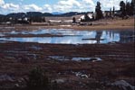 [Wet Tundra]