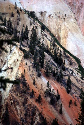 [Yellowstone Gorge]