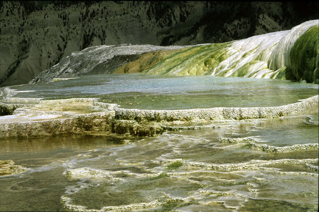 [Mammoth Terraces]