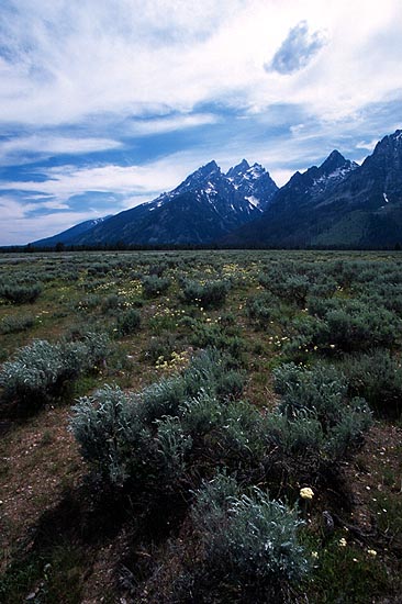 [Grand Tetons]