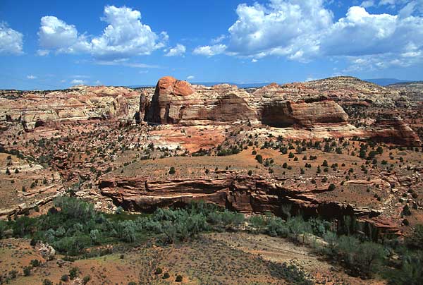 [Escalante River Overlook]