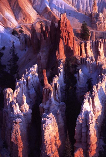 [Bryce Canyon]