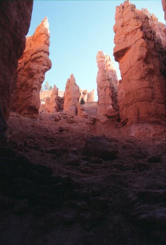 [Navajo Loop]