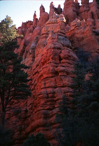 [Red Canyon]