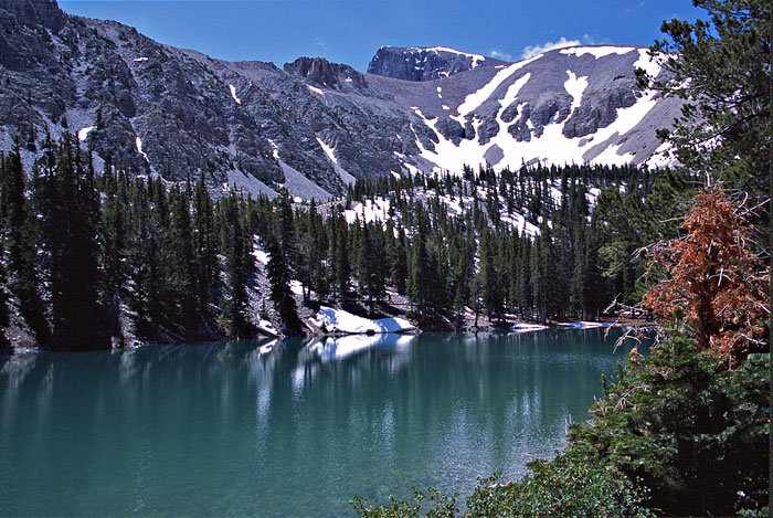 [Teresa Lake]