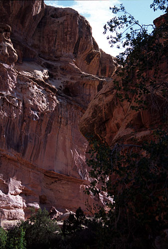 [Grand Wash Narrows]