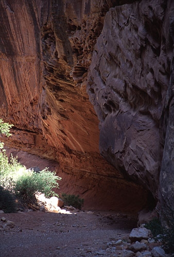 [Grand Wash Narrows]