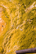 Runoff Color