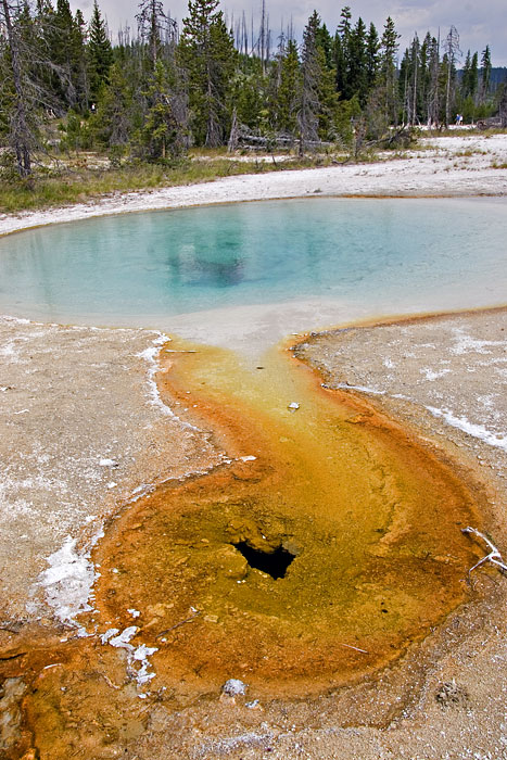 [Blue Funnel Spring]