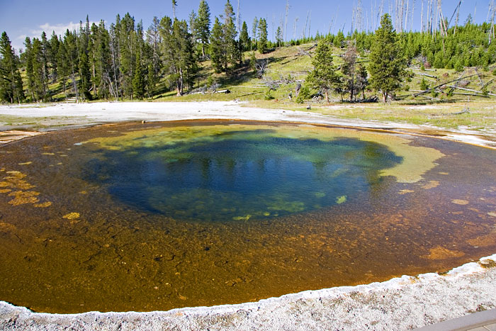 [Beauty Pool]