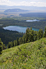 Taggart and Bradley Lakes