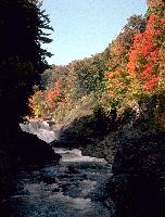 [Lower Falls]