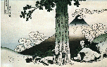 [Fuji with Pine Tree]