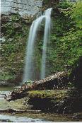 [Eagle Cliff Falls (closeup)]